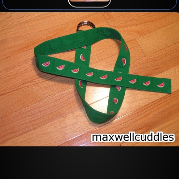 J CREW NWT CRITTER BELT EMBROIDERED WATERMELON S/M - Picture 2 of 2